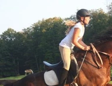 Καλλονές που ασχολούνται με την ιππασία φωτογραφίζονται ημίγυμνες για καλό σκοπό! (φωτό)